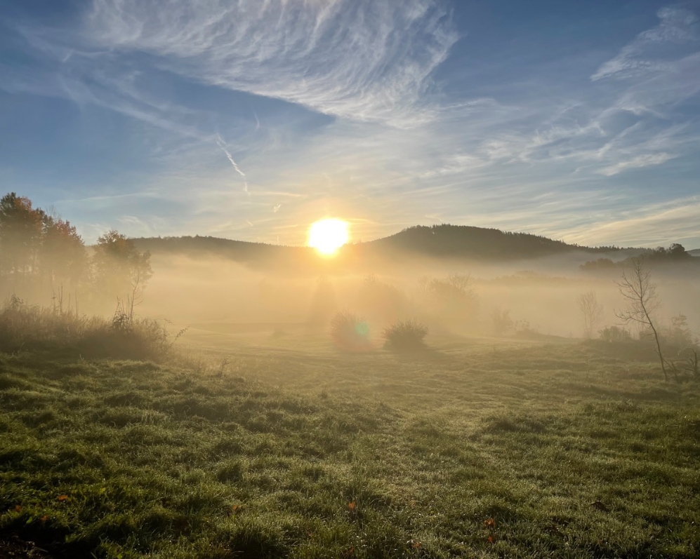 Prodej stavebního pozemku -Terasy Šumava